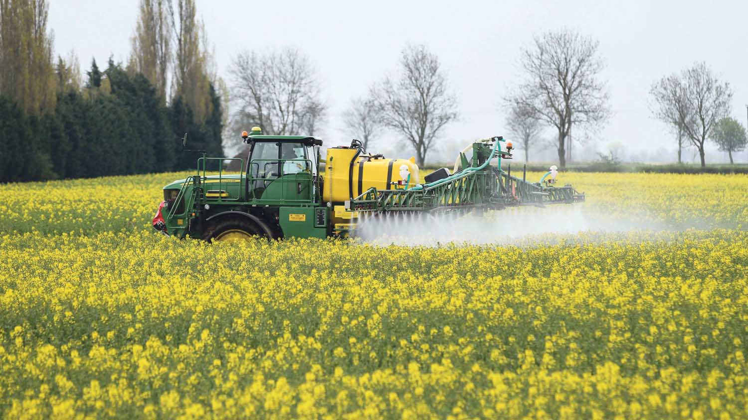 Spraying Prosaro & Amistar onto oil seed rape in flower with new John Deere 5430 36m sprayer